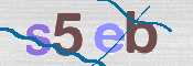 Enter CAPTCHA code below