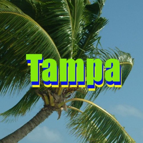 FL: 2023-2024- Tampa 05/18-19/24